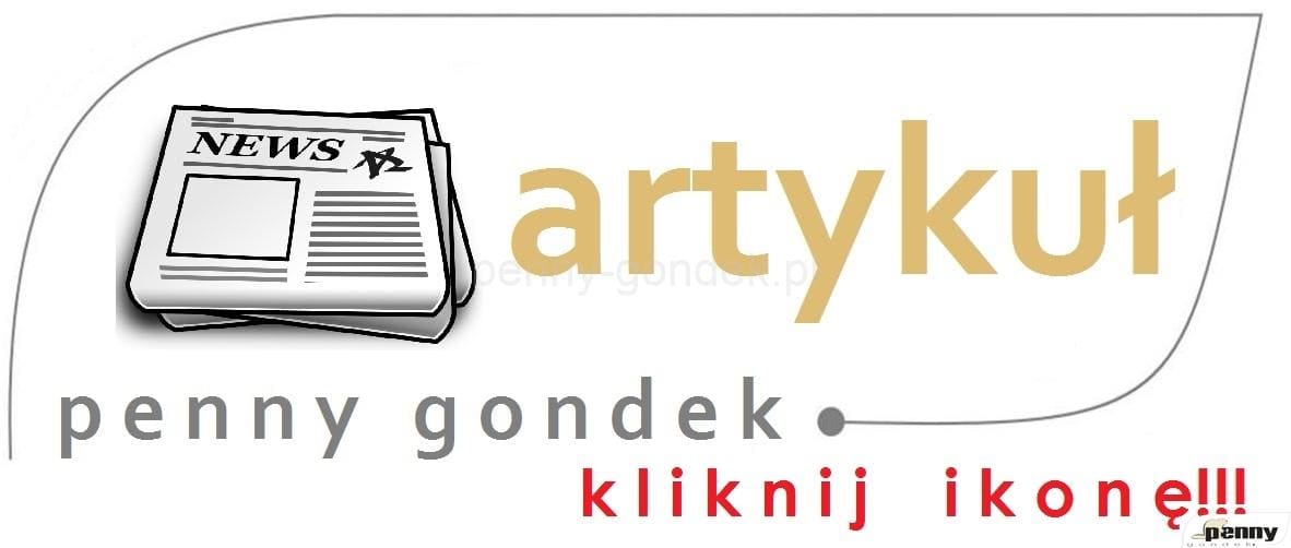 logo_PG_artykuł